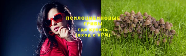 apvp Алексеевка