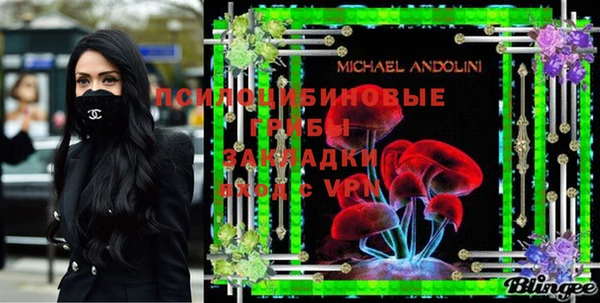 apvp Алексеевка