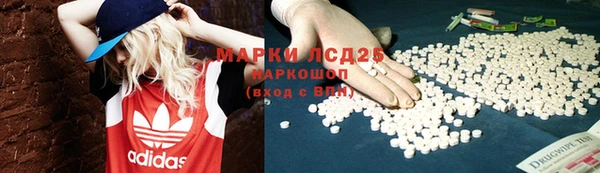 дурь Алзамай