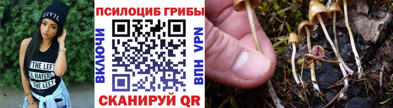 даркнет сайт  Мичуринск  Псилоцибиновые грибы мухоморы 