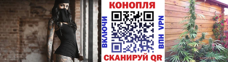 купить наркотик  Мичуринск  Канабис VHQ 